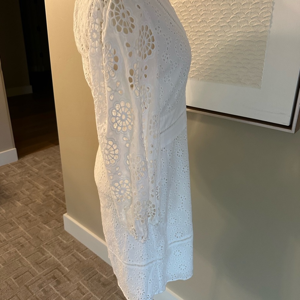 Banana Republic White Lace Long Sleeve Dress - Picture 8 of 9